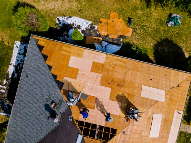 Best Emergency Roof Repair  in Fife Heights, WA